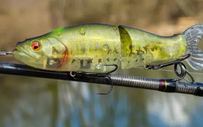 Glidebait Tuning
