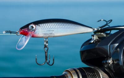 Rapala X-Rap CountDown