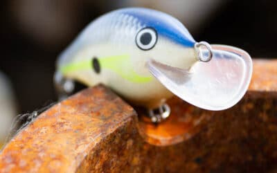 Rapala Scatter Rap Crank