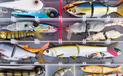 Swimbait und Glidebait Guide