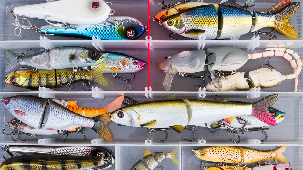 Swimbait und Glidebait Guide