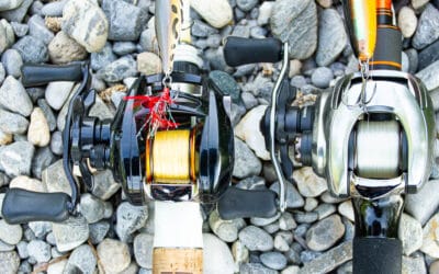 Welche Schnur für Topwater Köder?