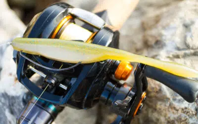 Strike King KVD Perfect Plastic Caffeine Shad