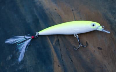Rapala X-Rap