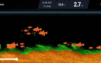 Deeper Sonar lesen – Wie?