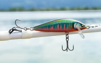 Rapala CountDown Elite