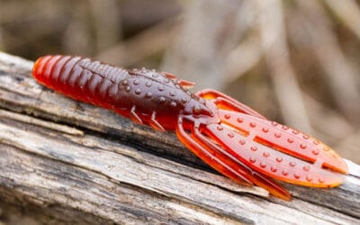 Pitch and Strike Heikegani Craw