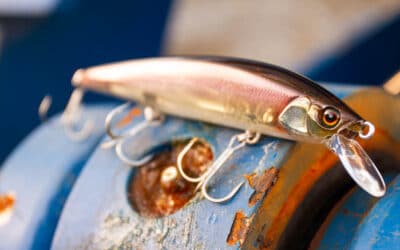 Jackall Rerange 110 SP