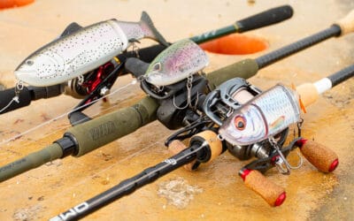 Richtig angeln mit Swimbaits und Glidebaits
