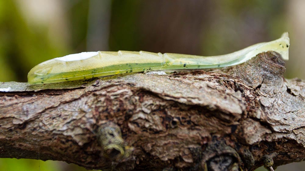 13 Fishing Vertigo Minnow