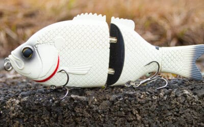 Baitsanity Explorer Gill Glide Bait