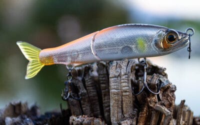 Gan Craft Jointed Claw 70 S