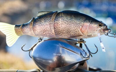 Imakatsu Bassroid JR Triple Double