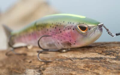 Storm Arashi Glide Bait