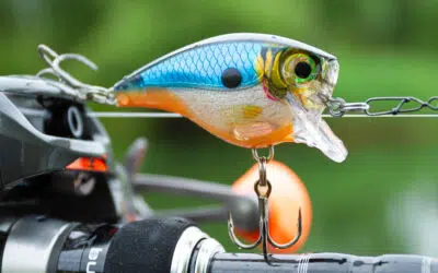 Rapala BX Brat
