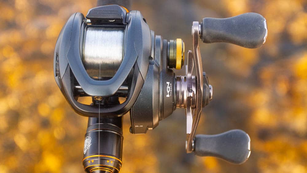 Shimano Curado BFS - ANGEL-KNIFFE