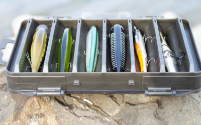 Camo Lures Hardbait Box
