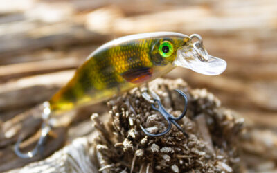 Rapala Shadow Rap Solid Shad