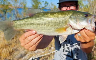Bass angeln auf Sardinien