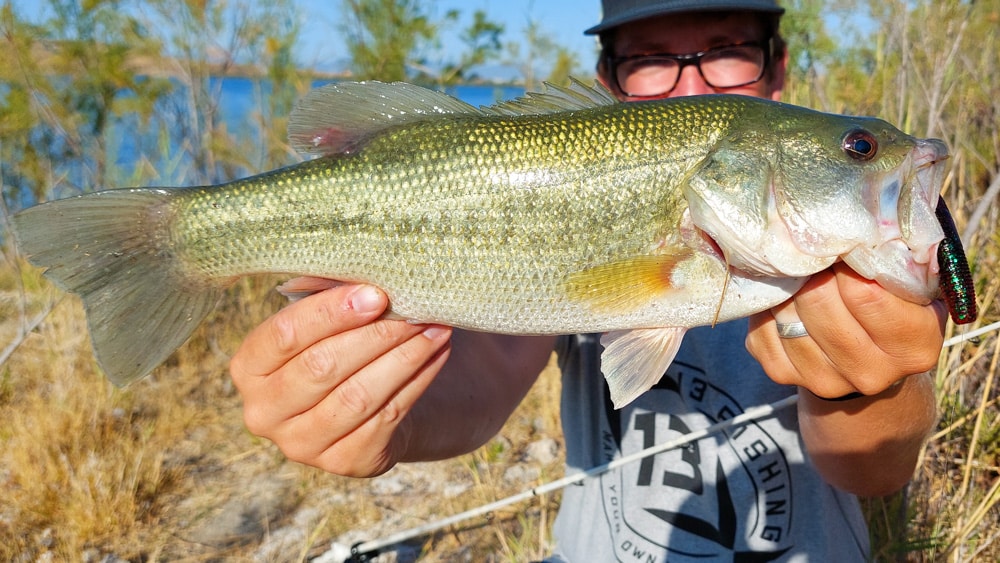 Bass angeln auf Sardinien