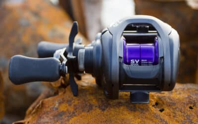 Daiwa Prorex PE SV TW