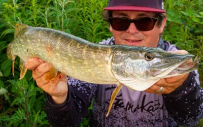 Meine besten Hechtköder