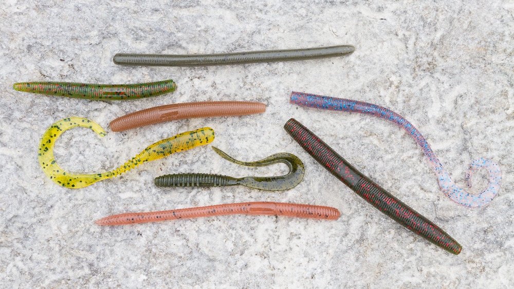 Worm Guide