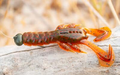 13 Fishing Ninja Craw