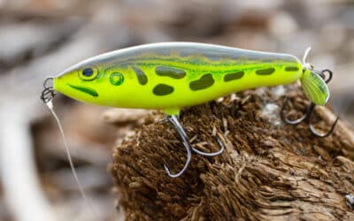 Rapala Skitter Prop
