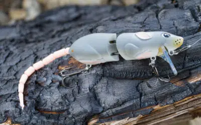 SPRO BBZ-1 Rat