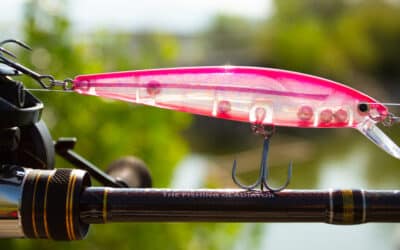 Strike King KVD 200 Jerkbait