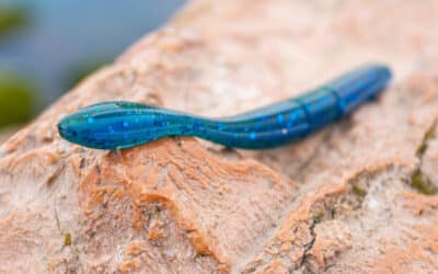 13 Fishing Bubble Butt