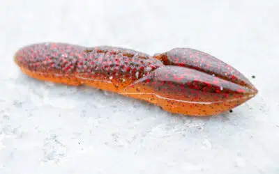Fish Arrow Heavy Poop