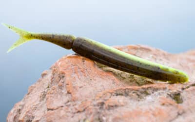 Pitch and Strike Alburno