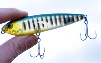 Strike King KVD Sexy Dawg JR