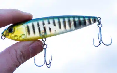 Strike King KVD Sexy Dawg JR