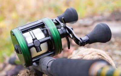 Abu Garcia Ambassadeur Beast HD