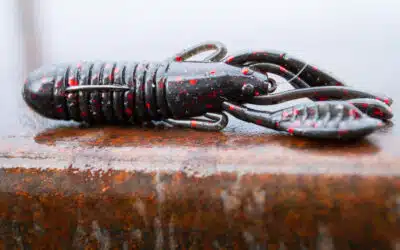 Jackall Cover Craw
