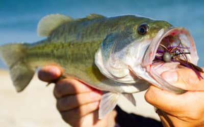 Keitech Rubber Jig Model II