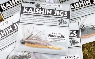 Noike Kaishin Finesse Jig
