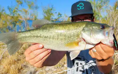 13 Fishing Ninja Worm