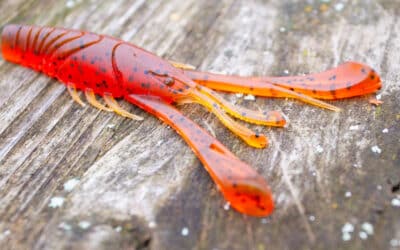 13 Fishing Wobble Craw