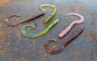 Köderfarben – Welche brauchst du wirklich?