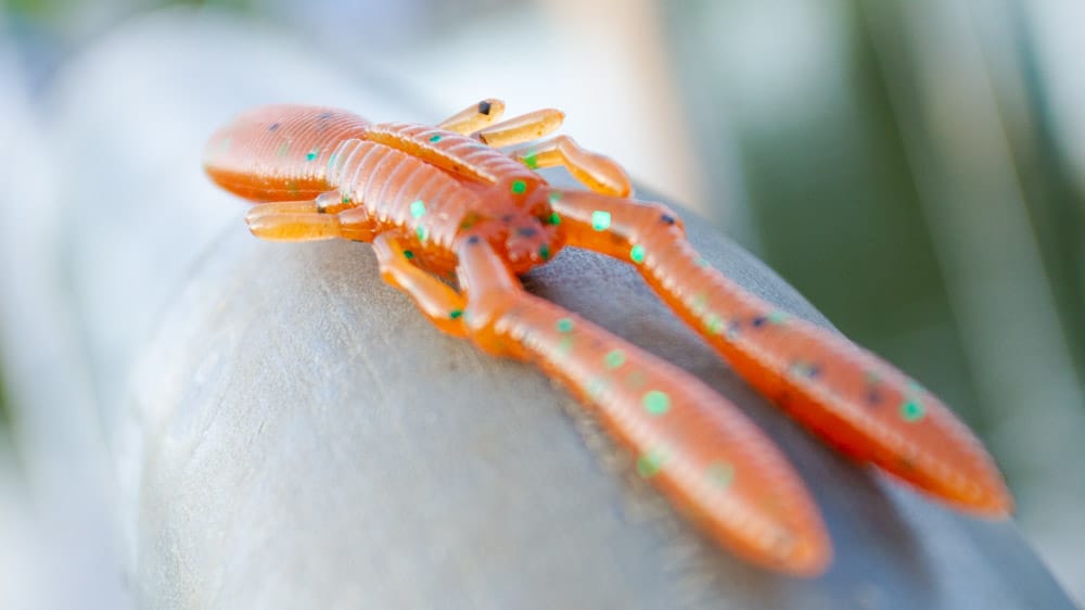 Megabass Bottle Shrimp