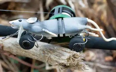Savage Gear 3D Rad