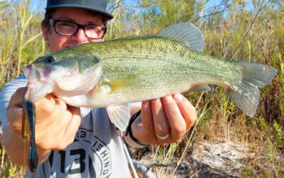 Angeln auf Schwarzbarsch
