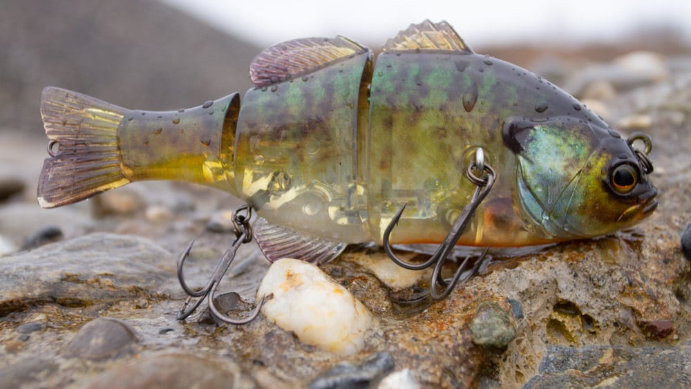 Swimbait und Glidebait Guide - ANGEL-KNIFFE