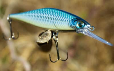 Rapala Shadow Rap Shad 09