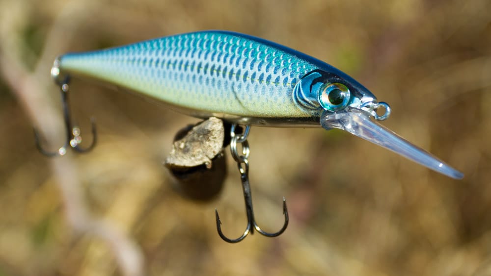 Rapala Shadow Rap Shad 09