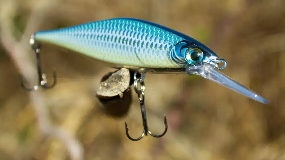 Rapala Shadow Rap Shad 09